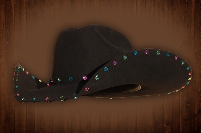 Vegas Cowboy Hat